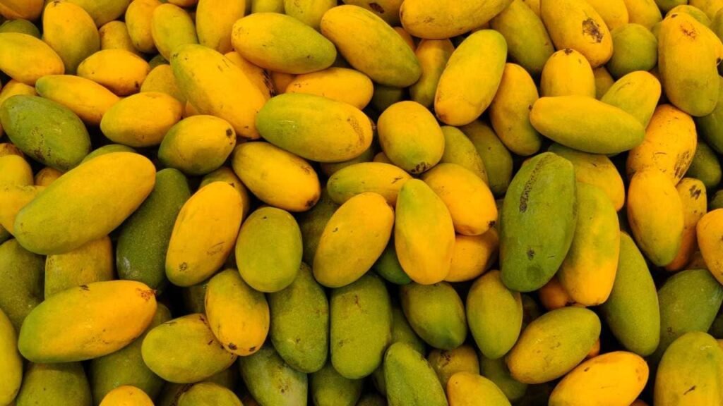dasheri-mango-2024-05-57bda8612b631ea27c2c86bcb3b7a6c6