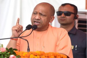yogi-4