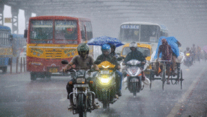 bengal-rain
