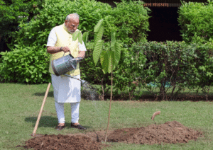 pm-modi-sapling