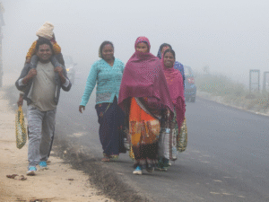 Weather_Update_15_November_IMD_R