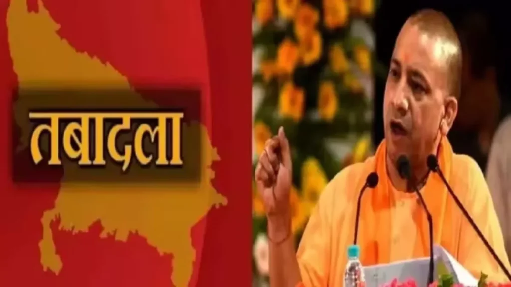 08_12_2024-transfer_yogi__23844668-1763664058975