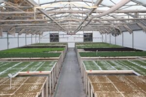 G6SspGyaoAAVt6q-1024x683