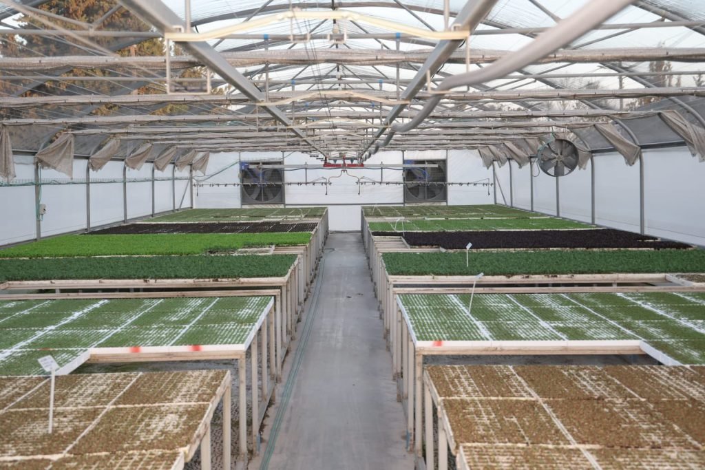 G6SspGyaoAAVt6q-1024x683