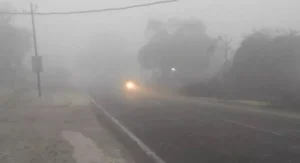 upweather_N-1763091074551