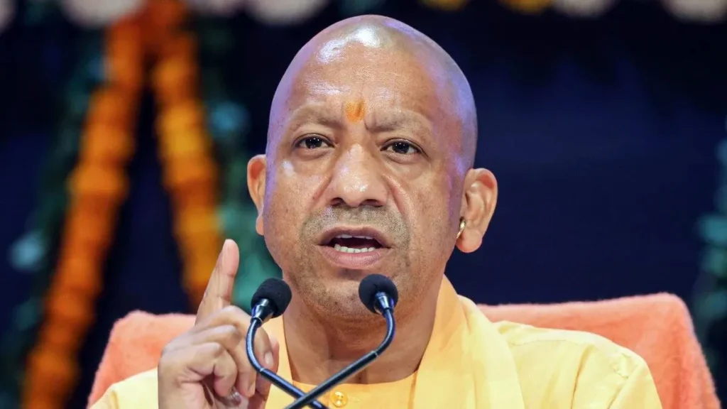 yogi-(1)-1763567983397