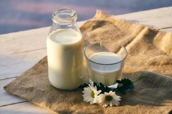 dudh-585x390