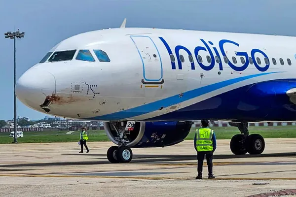 indigo-1