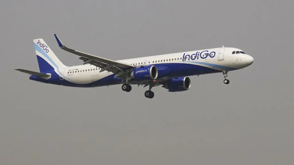 indigo-pti-2-1765209089