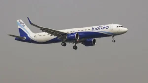 indigo-pti-2-1765209089