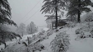 A thick blanket of snow covers Jammu