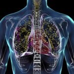 GettyImages-1786411740-1536x1024