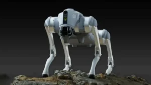 chinese-robotic-dog