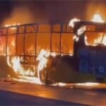 2026_3image_11_03_214991128fir-ll