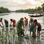 environmental-conservation-1536x864