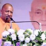 yogi-(8)-1774801548181_v