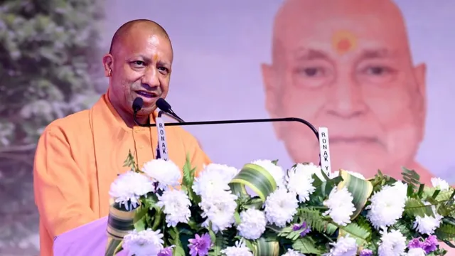 yogi-(8)-1774801548181_v