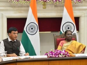 202604033732677-768x576