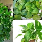 add-a-heading-3-1776068442