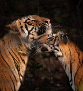 GettyImages-2171227831-1394x1536