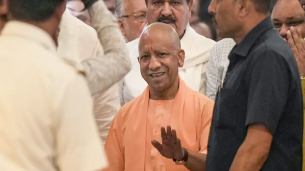 yogi-1778327849