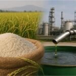 2026_7image_11_54_037877429rice-ll
