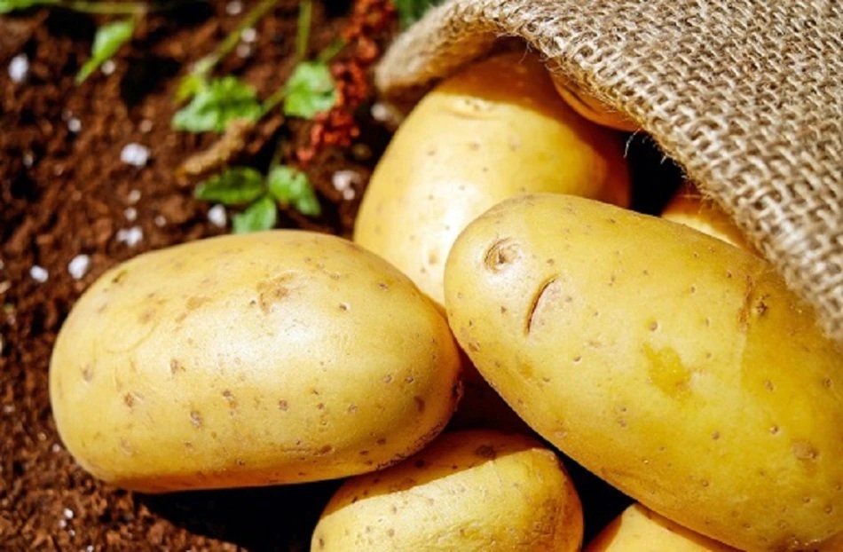 potato