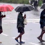rain