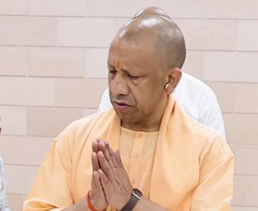 yogi_07-3