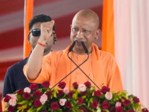 yogi_1785409074566_1785409074720_36206c3a-8d02-4964-ad94-55d9e79b079d