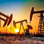 oil (1)