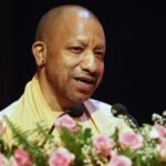 yogi_0_2_3-5