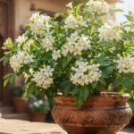 70-13