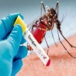 dengue