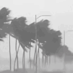 rain_2-13