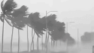 rain_2-13