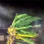 Cyclone