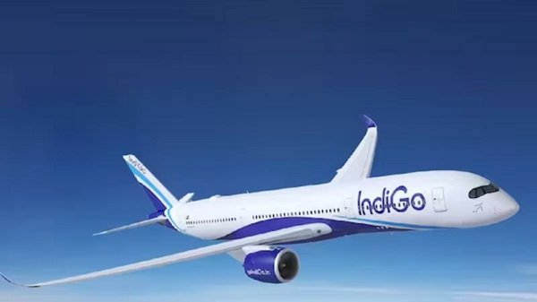 indigo